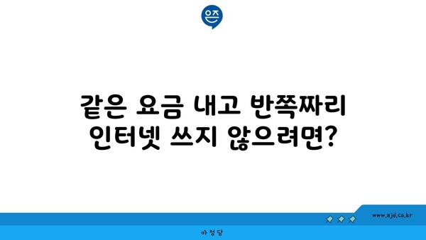 같은 요금 내고 반쪽짜리 인터넷 쓰지 않으려면?