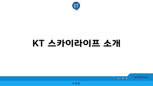 KT 스카이라이프 소개