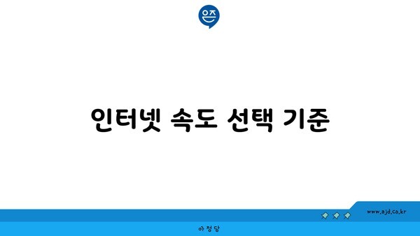 인터넷 속도 선택 기준