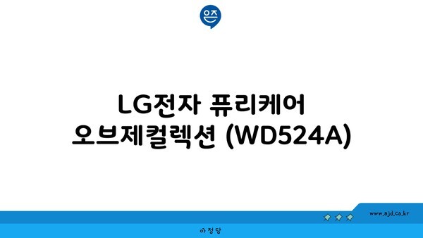 LG전자 퓨리케어 오브제컬렉션 (WD524A)