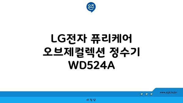 LG전자 퓨리케어 오브제컬렉션 정수기 WD524A