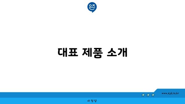 대표 제품 소개