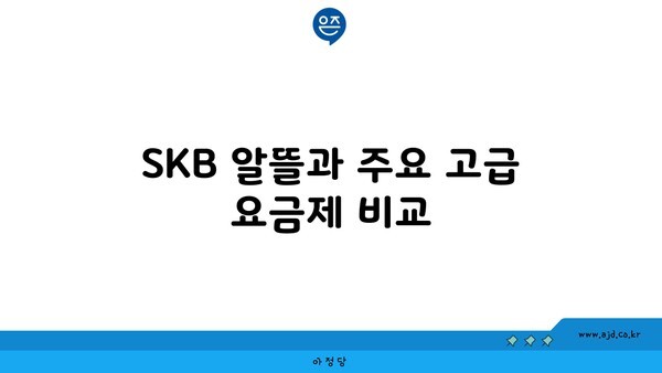 SKB 알뜰과 주요 고급 요금제 비교