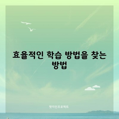 효율적인 학습 방법을 찾는 방법