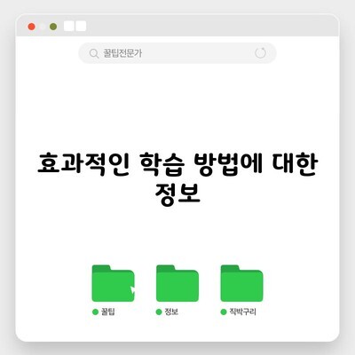 효과적인 학습 방법에 대한 정보