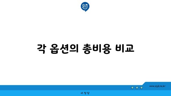 각 옵션의 총비용 비교