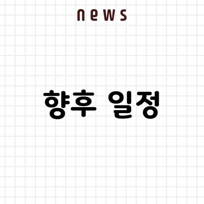 향후 일정