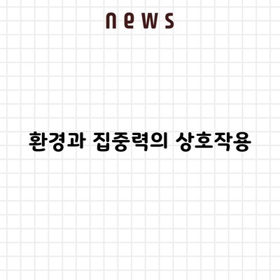 환경과 집중력의 상호작용