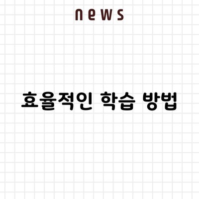 효율적인 학습 방법