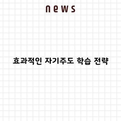 효과적인 자기주도 학습 전략