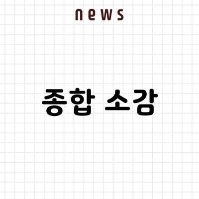 종합 소감