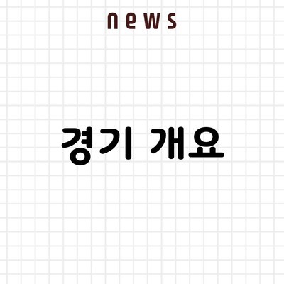 경기 개요