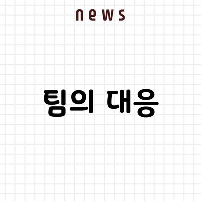 팀의 대응