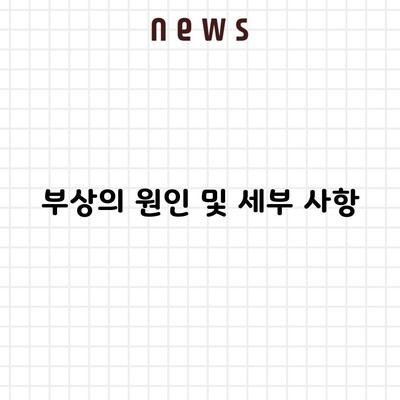 부상의 원인 및 세부 사항