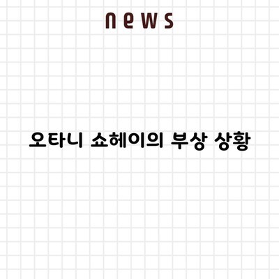 오타니 쇼헤이의 부상 상황